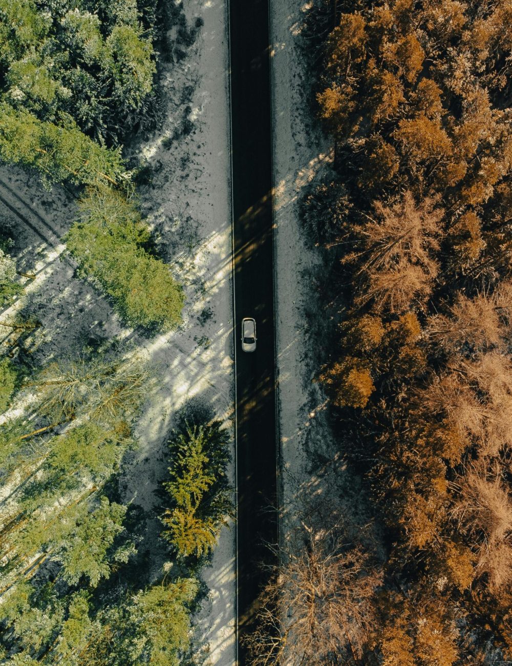 Drone shot of a car driving through a winter forest dividing green and brown trees in Ilmenau, Germany.